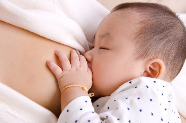 Mammary Magnificence: Breast Development